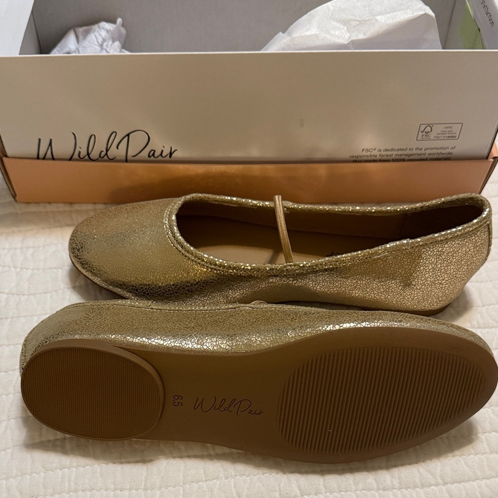 Wild Pair Shimmering Gold Flats
